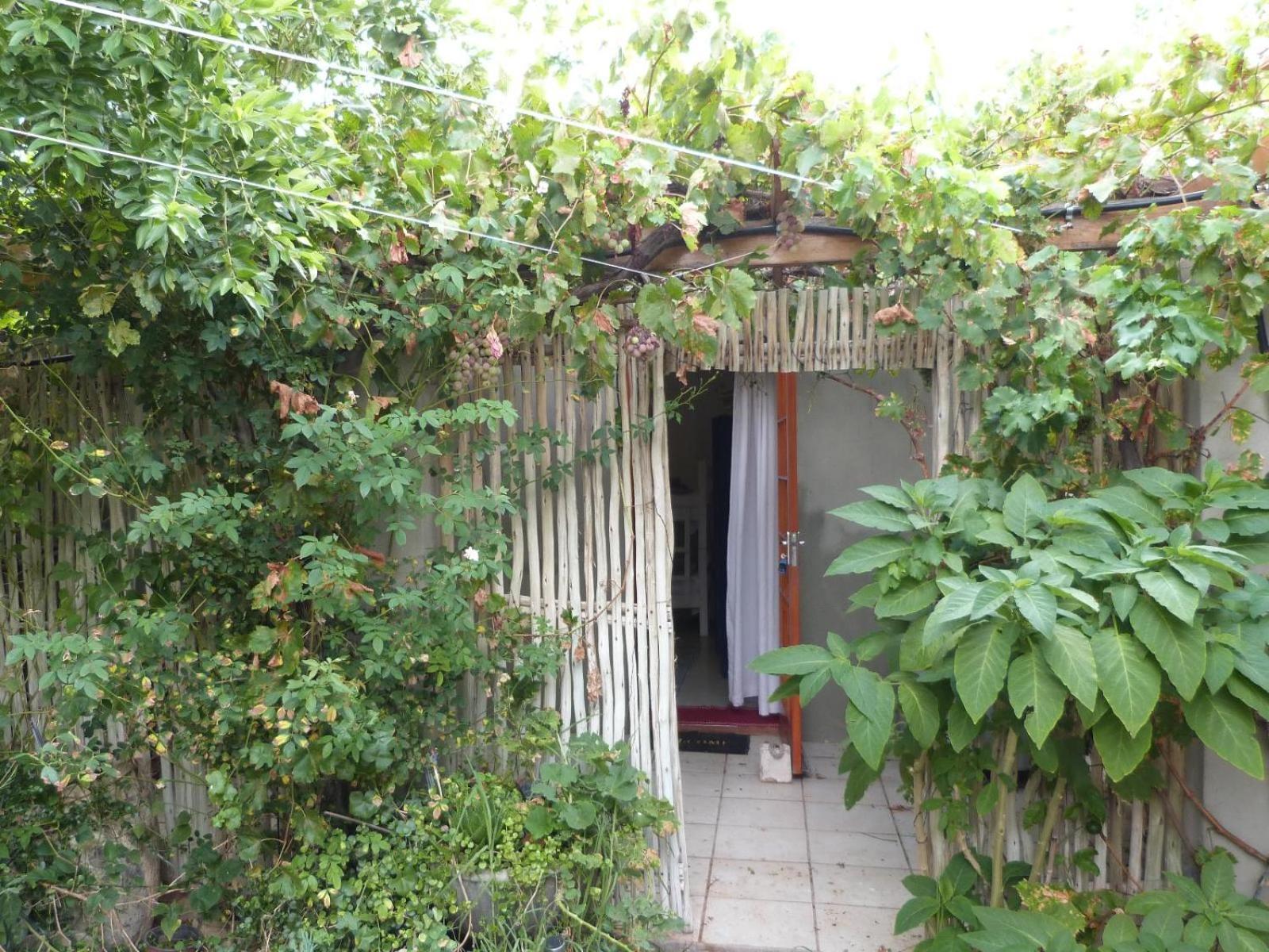 Hannah'S Haven Studio Deluxe - No Loadshedding Apartman Beaufort West Kültér fotó